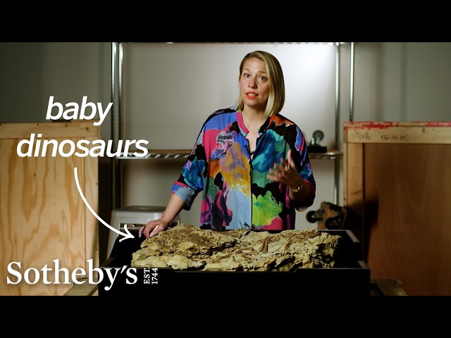 Why Baby Dinosaur Fossils Are Almost Impossible to Find | Sotheby's
