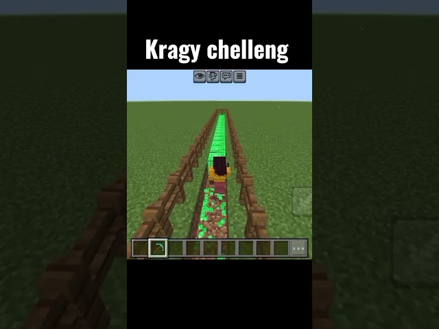 Minecraft Challenge