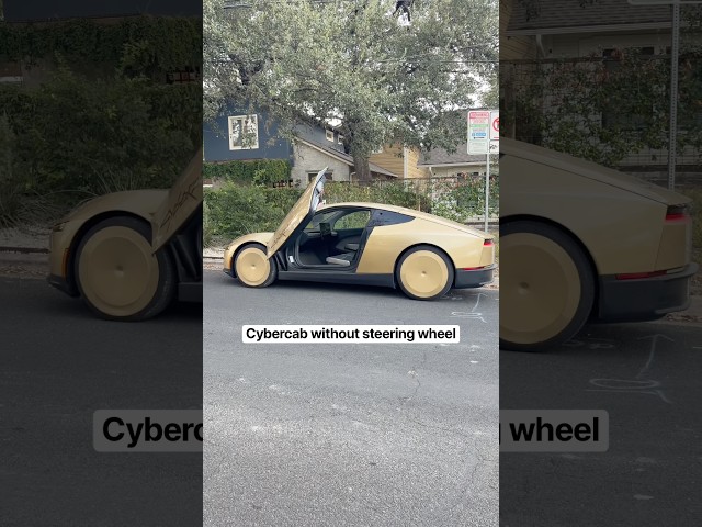 Cybercabs are live in Austin 😍