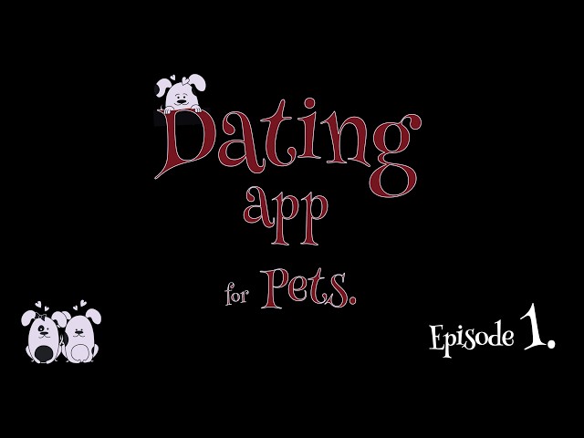 How To Build Dating App in Flutter Ep. 1 - [No Ai Coding]