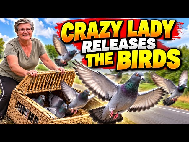 CRAZY LADY RELEASES THE BIRDS 🐦 