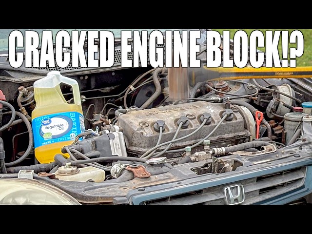 I Cracked My Engine Block Using Vegetable Oil As Engine Oil