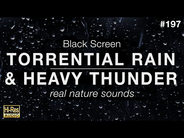Torrential Rain and Heavy Thunder Sounds for Sleeping (BLACK SCREEN)