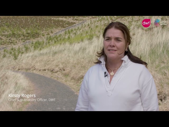 Why Climate Action Matters to Business: DWF Leaders Speak Out