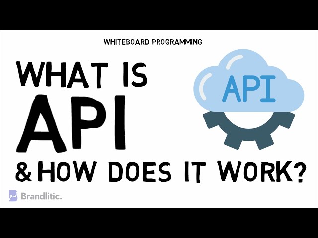 What is API in Programming and How it Works | API Explained for Dummies