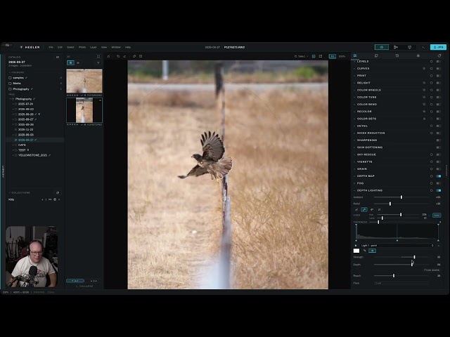Editing a Hawk Photo in Heeler | Quick Photo Edit + App Testing