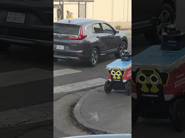 ROBOT REPLACED ICE CREAM MAN IN LOS ANGELES