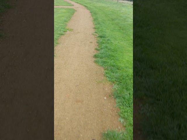 Tricycles are hard!