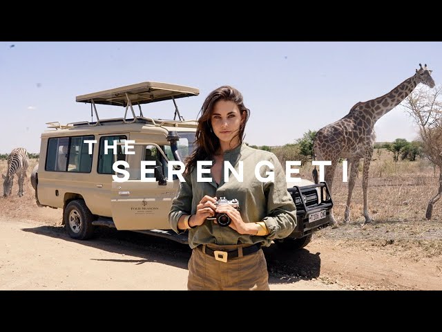 let’s go on my dream safari in tanzania  🇹🇿 the nicest hotel in the serengeti