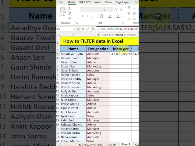 Excel Filter Trick 🔍 | Filter Data in Seconds!