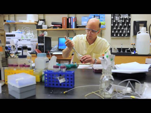 Nicholas Hud:  Understanding the Factors that Control Order Nucleic Acid Structures