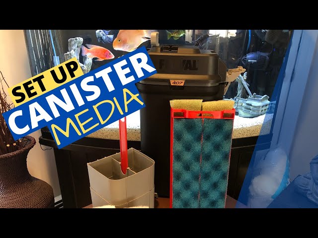 The One Mistake Killing Your Fluval 407 Performance