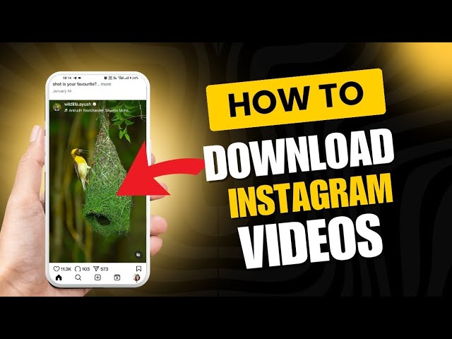 How To Download Instagram Videos| Instagram video download 2025| TechFleet