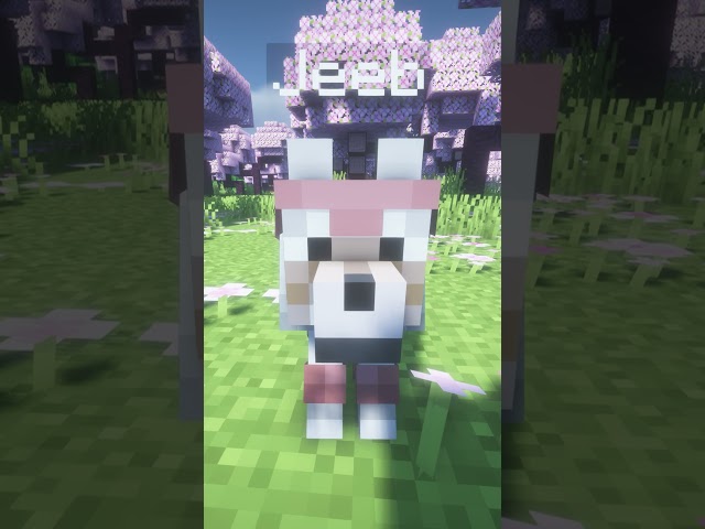 Minecraft Dog Edit