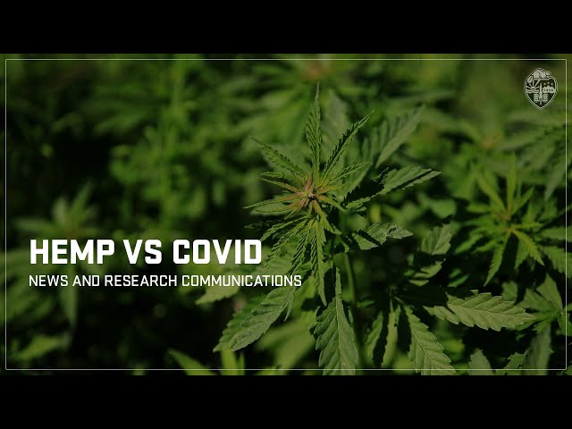 HEMP vs COVID