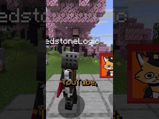 Fundy Commented On My Enchantments... #minecraft #coding  #mcyt #dreamsmp #gaming