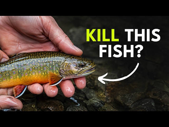 Why Biologists Want You to Kill Brook Trout, and When You Shouldn't | Ep. 194