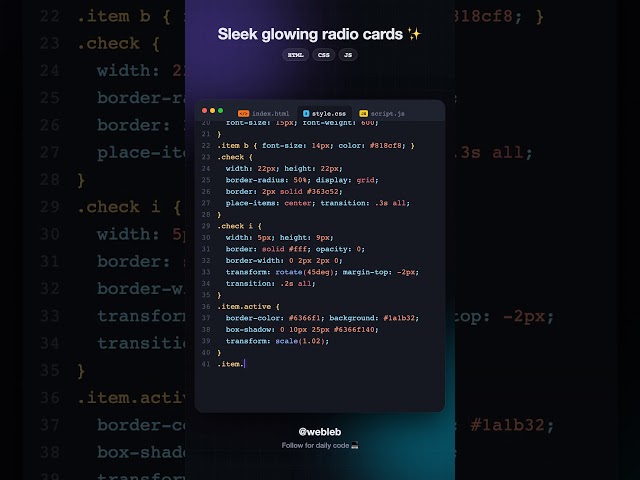 Radio Cards #webleb #code #coding #developer #frontend #html #javascript