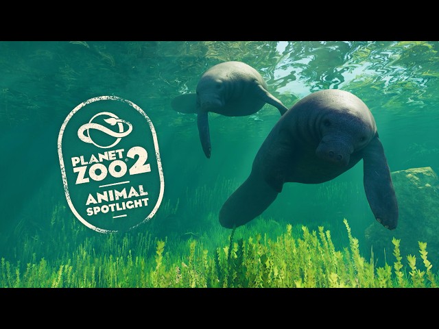 Planet Zoo 2 | Animal Spotlight - West Indian Manatee