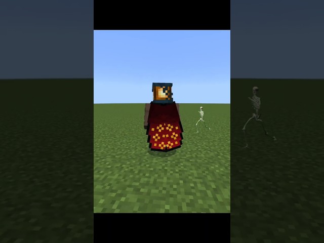 Customize your elytra!!  #minecraftmods #minecraft