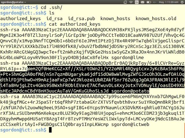 SSH Authentication and Tunnelling (CSS322, L27, Y14)