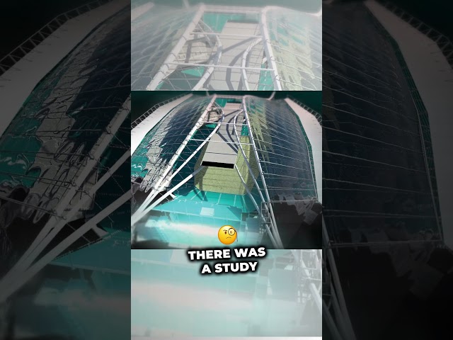 Eagles roof design #nfl #stadium