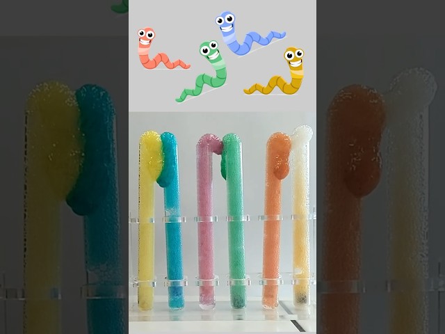 🪱🏁 Earthworm Race⚗️🧪 Hydrochloric acid + chalk → chemical transformation 💨💧#chemistry #chimie
