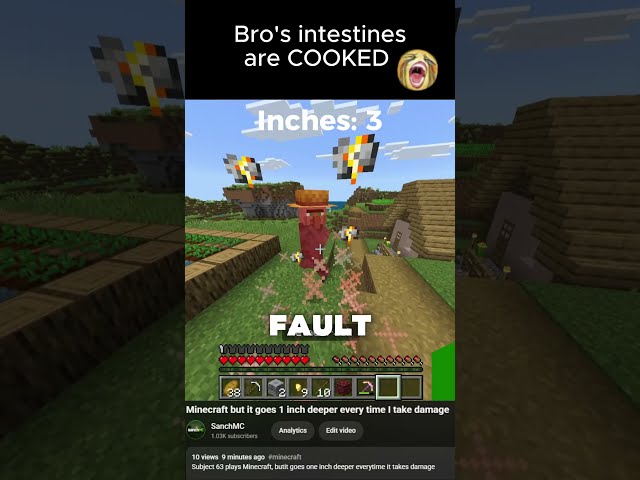 Minecraft but if I take damage it goes 1 inch deeper