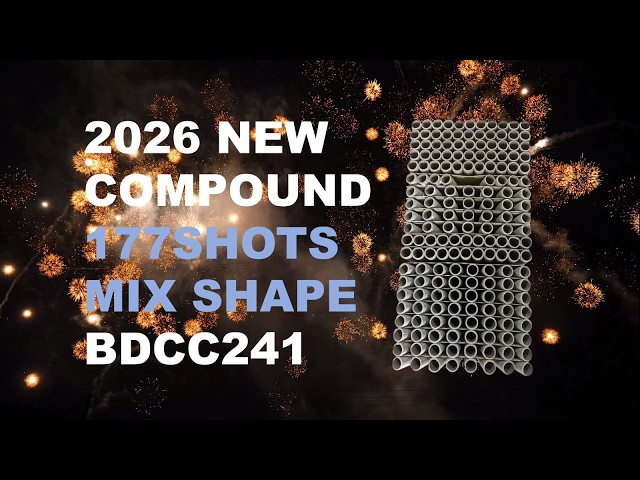2026 NEW BM2425-9-26 25*30*175MM 24SHOTS MIX SHAPE F2 CAKE