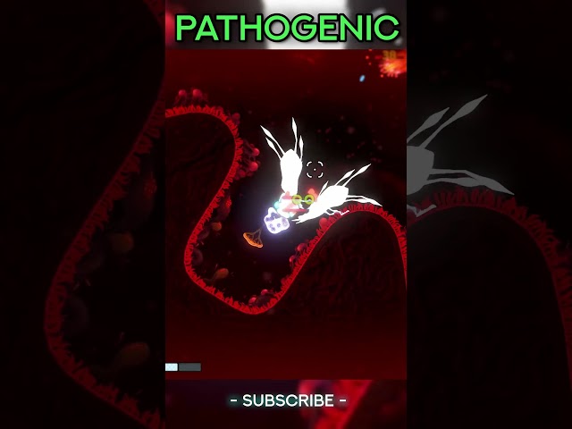 Best NEW Rogulike Coming to Steam!!