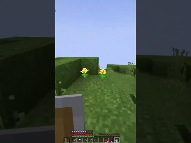 Voice Crack - Stream Highlights