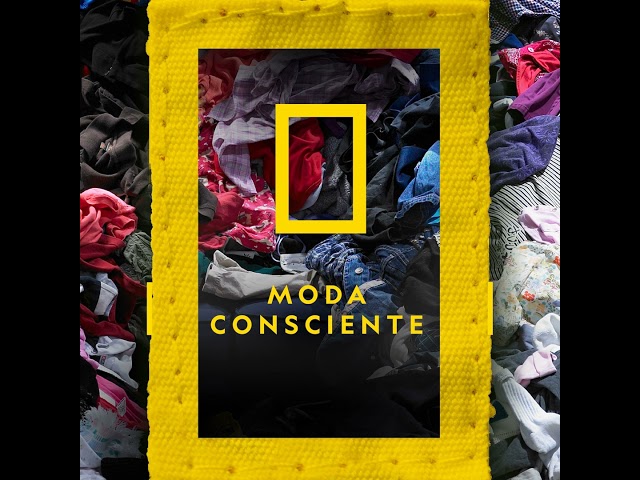 Moda Consciente