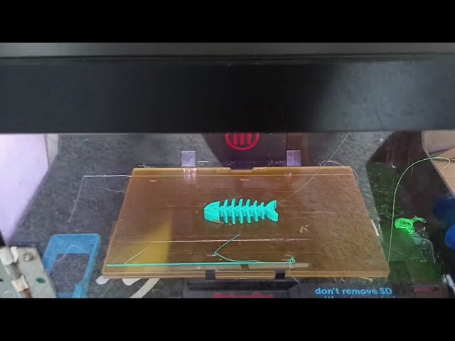 makerbot replicator 2 printing a fish