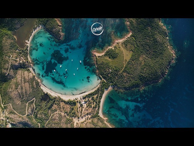 BIRRD - Ocean Sweep