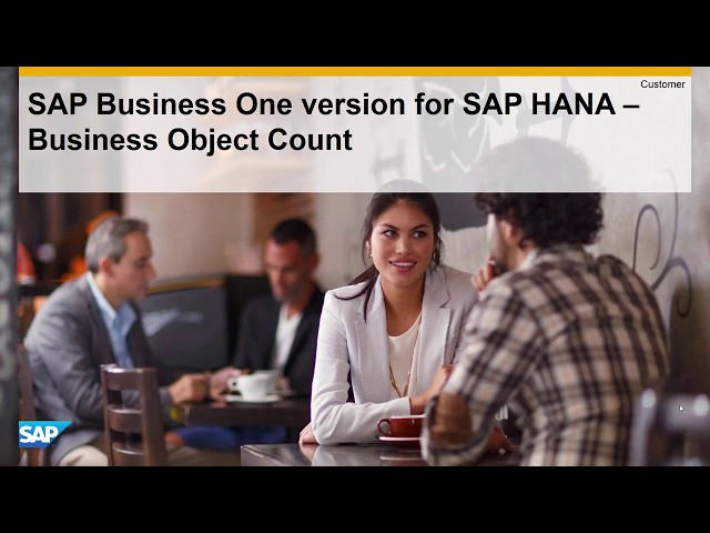 SAP Business One - Business Object Count Demo