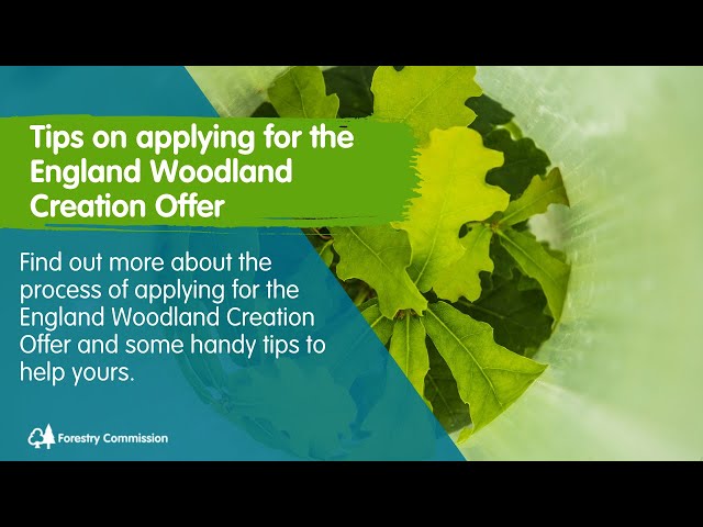 Handy tips for completing your England Woodland Creation Offer application.