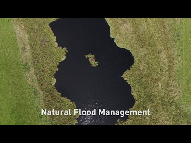 Eddleston Water Project - Building with Nature (full version)