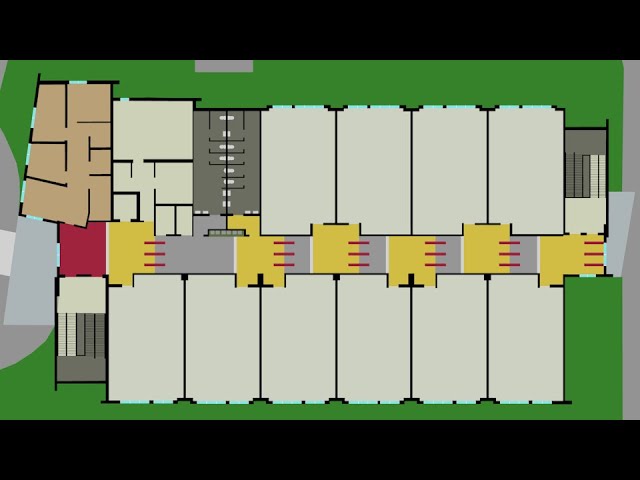 Marjory Stoneman Douglas Animation