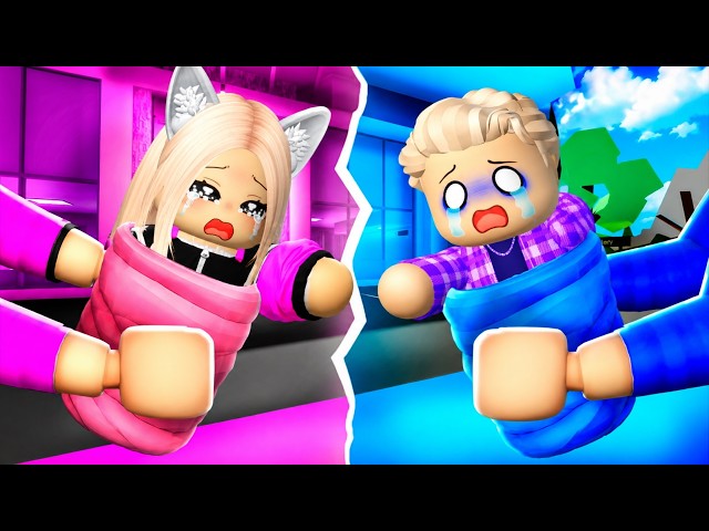 Nocta et son Frère ont ÉTÉ SÉPARÉS À LA NAISSANCE… sur BROOKHAVEN RP ROBLOX