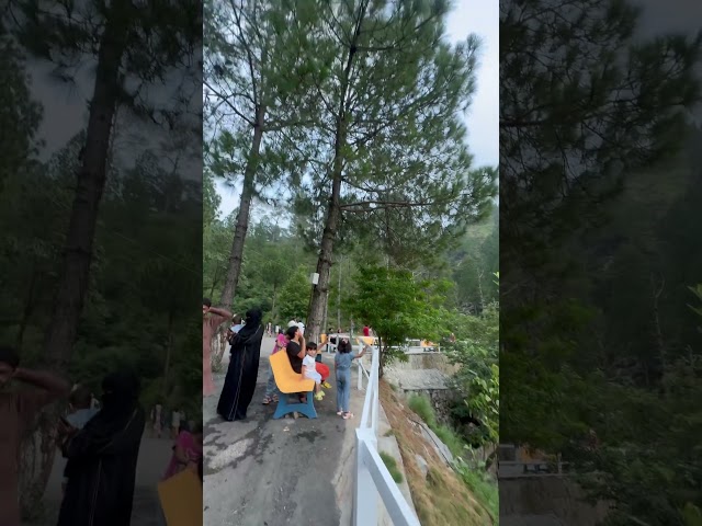 Ek dum mast jaga #shorts #shortsfeed #ytshorts #youtubeshort #short