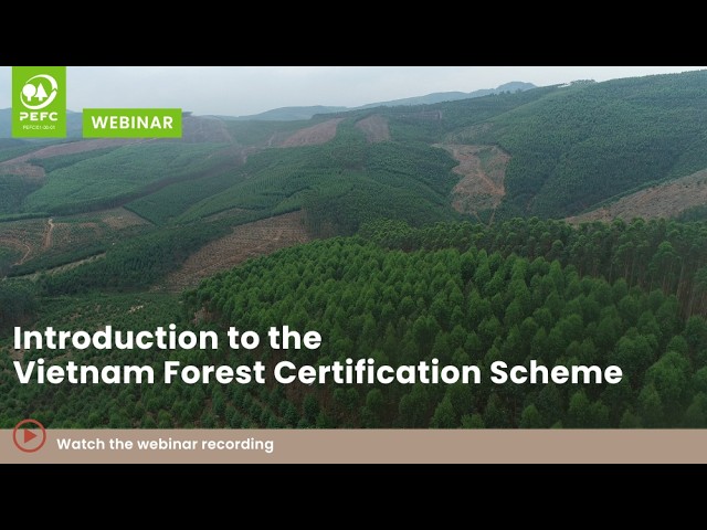Introduction to the Vietnam Forest Certification Scheme