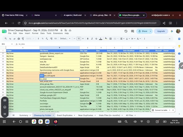 Google Drive Cleanup Scanner by catafest and AI