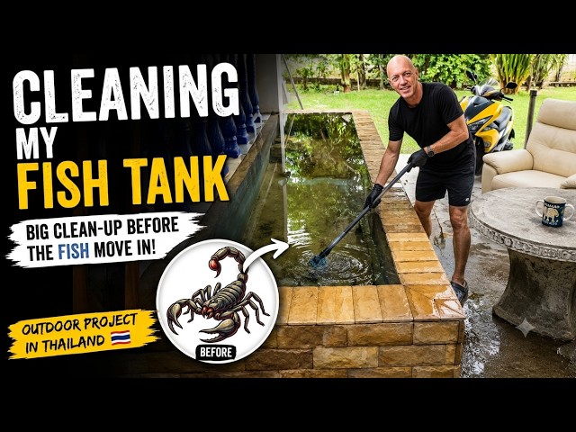 LIVE: Fish Pond Project + SCORPION | Building My Dream Garden in Thailand 🇹🇭