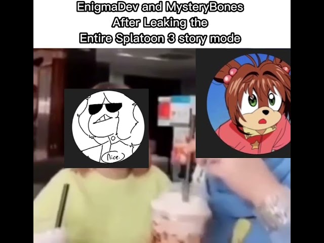 EnigmaDev and I after Leaking Splatoon 3: