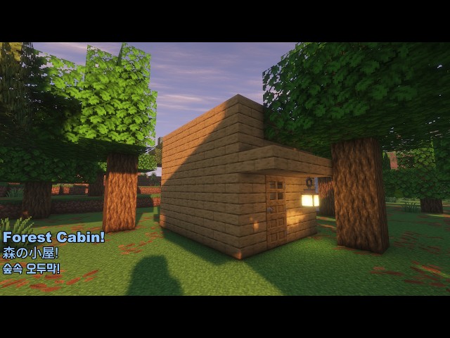 Minecraft First-Person Build Showcase | Cozy Forest Cabin!🌲🏡