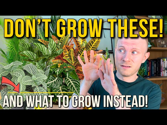 Avoid These 7 Plants At All Costs!! (And What To Grow Instead)