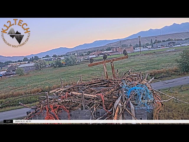 Salmon Osprey Camera
