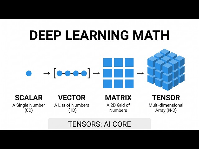 FINAL VIDEO scalars vectors matrices tensors 2
