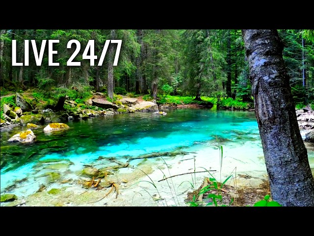Beautiful Relaxing Piano Music for Stress Relief 🎹 Gentle & Peaceful Music Relaxation, Study & Sleep