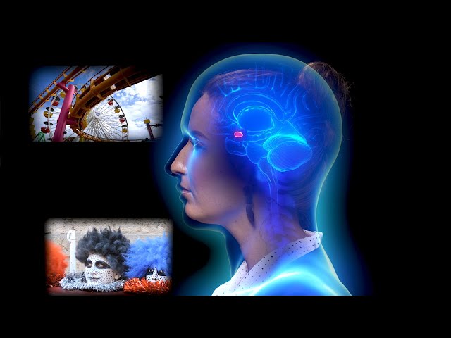🧠 Fears vs. Phobias: What's the Difference?